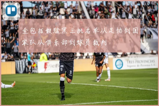 全包括假赌黑三批名单从足协到国家队从俱乐部到球员裁判